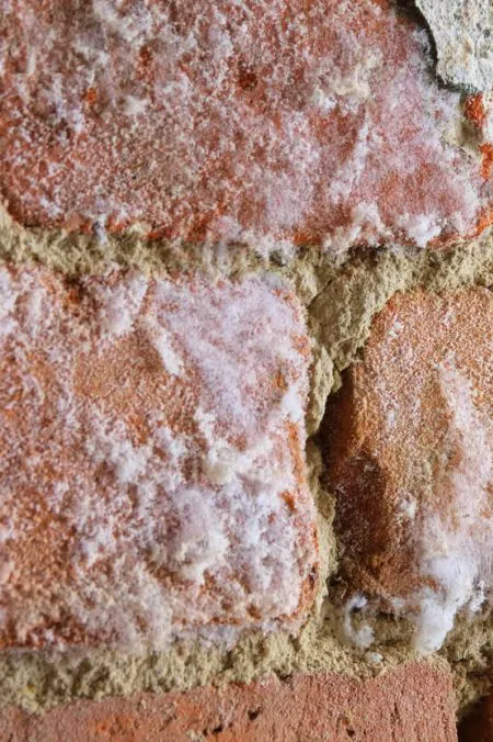 Willkommen bei BWA Rhein-Sieg Willkommen bei BWA Rhein-Sieg